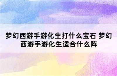 梦幻西游手游化生打什么宝石 梦幻西游手游化生适合什么阵